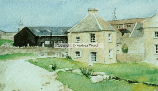 View of the Village, Lundy Island