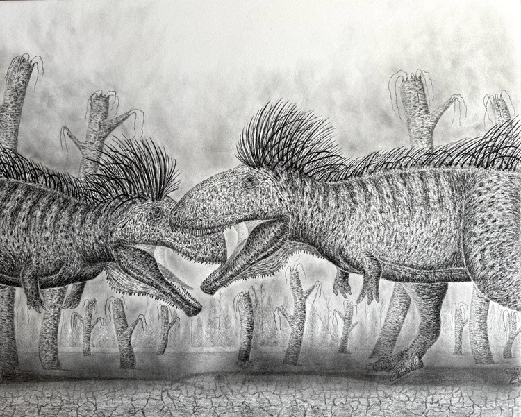 A South American Rivalry 