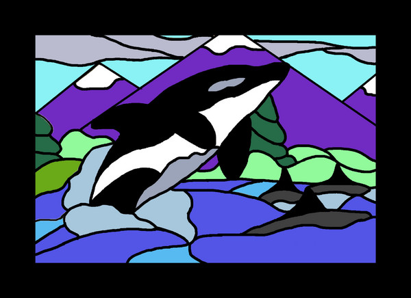 Orcas at Play