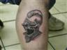 skull