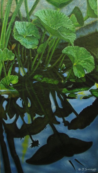 Reflections of a Soul
