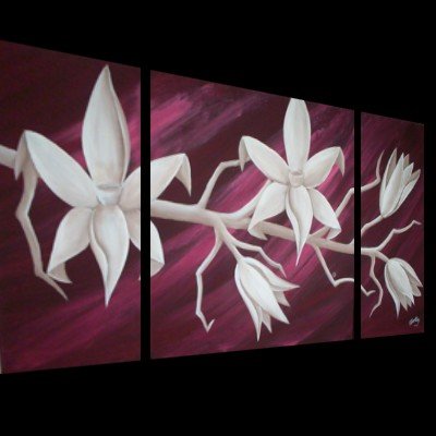 sensual orchids