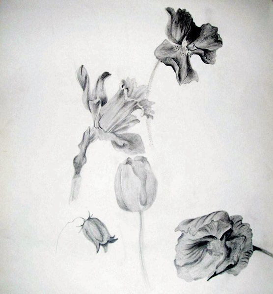 Odd Flowers