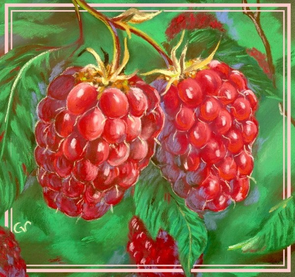 Raspberries