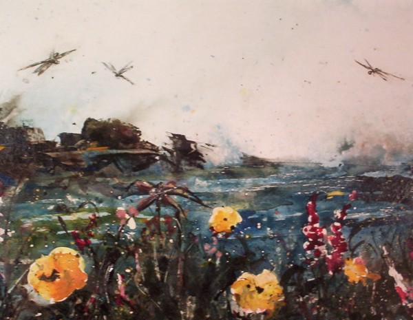 Wildflowers & Dragonflies