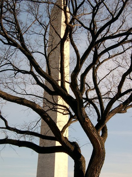 The Monument