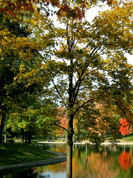 Autumn In The Park (Seven)