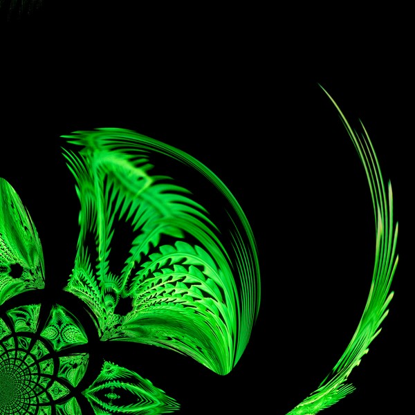 Fern Abstract (One)