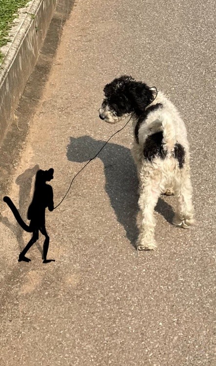 good friends