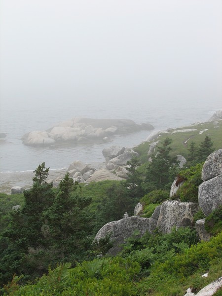 Misty eyes in Misty Avalon