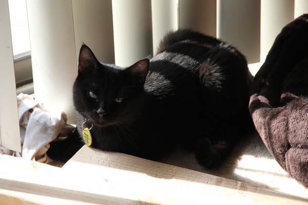 Khan enjoying the sun