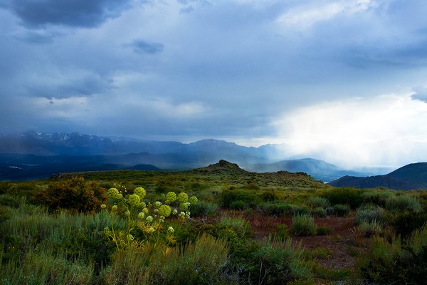 Stormy Late Afternoon