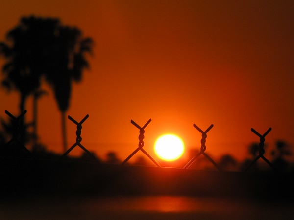 Sunset through the Wire