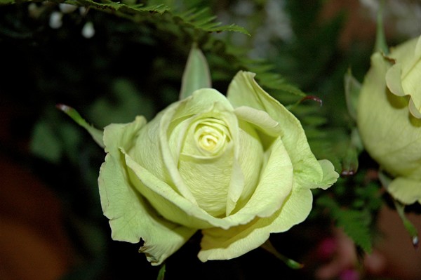 Green Valentines