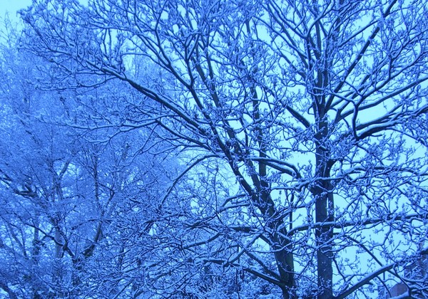 London - Snow in April
