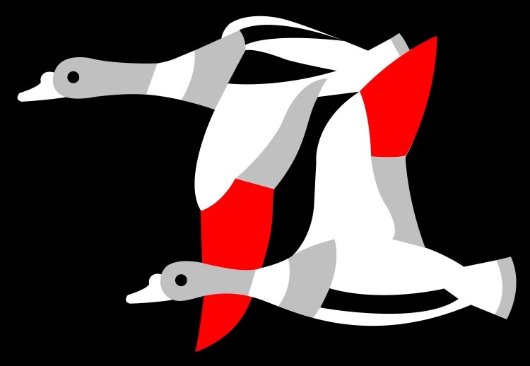 !?-0600-ducks