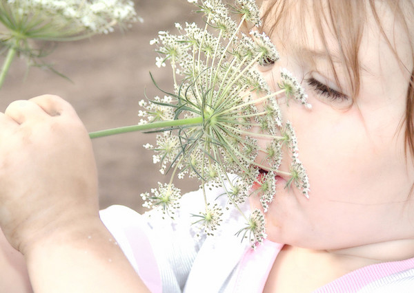 What a Big Flower you Have...