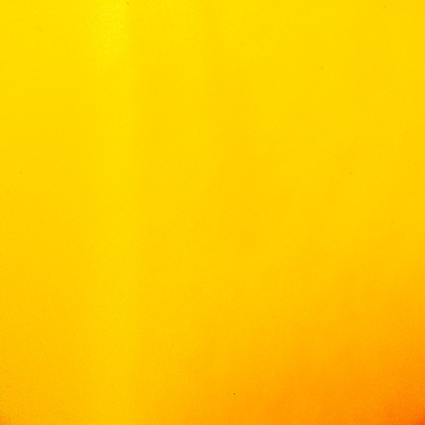 Simplissimus 2