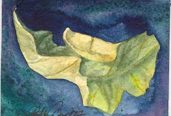 Dried Leaf ACEO