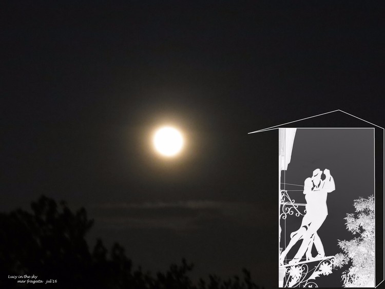 Lucy in the sky