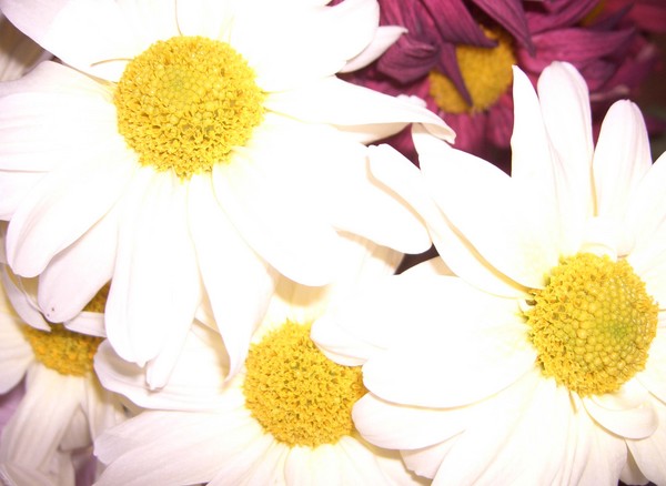 Pure white