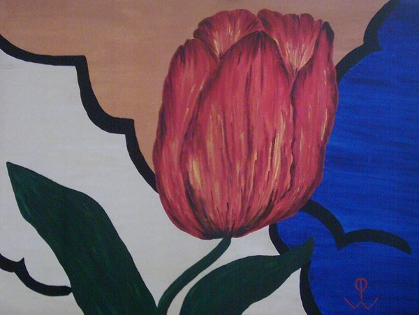 Tulpe