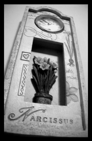 .:Narcissus:.