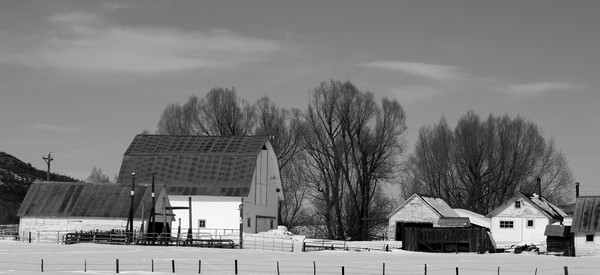 Roadside Farm in B&W