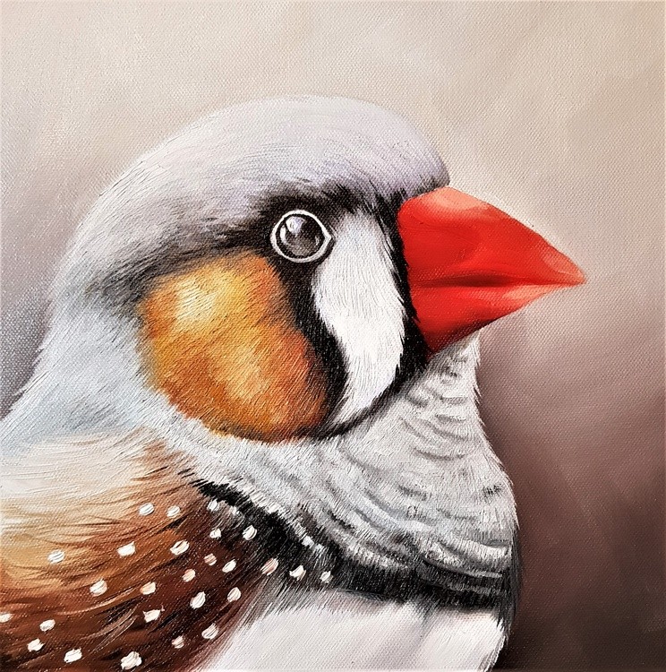 finch 2