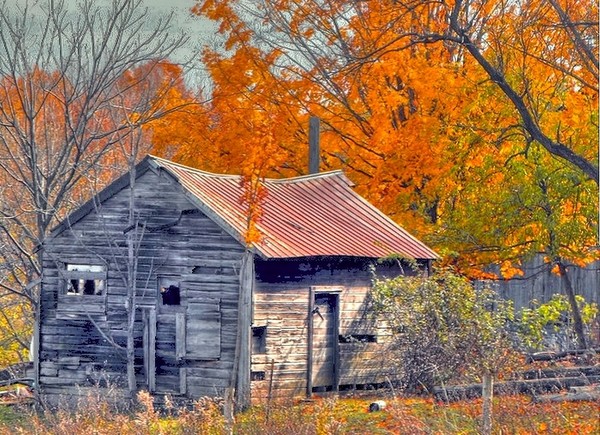Autumn In The Country 1