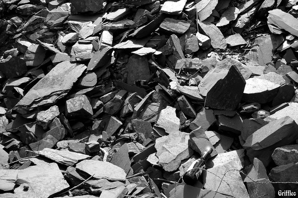 SLATE AND THE BEER BOTTLE