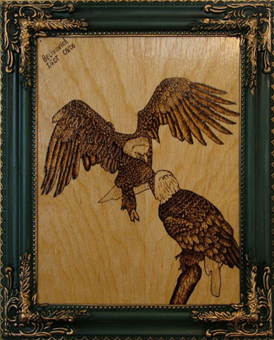BaldEagles (4)