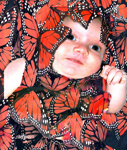 Butterfly Baby