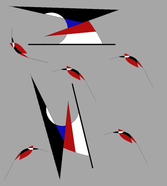 Bird5