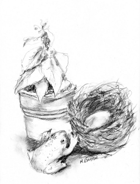 Nest & Frog
