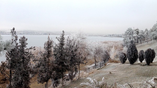 Mogan Lake
