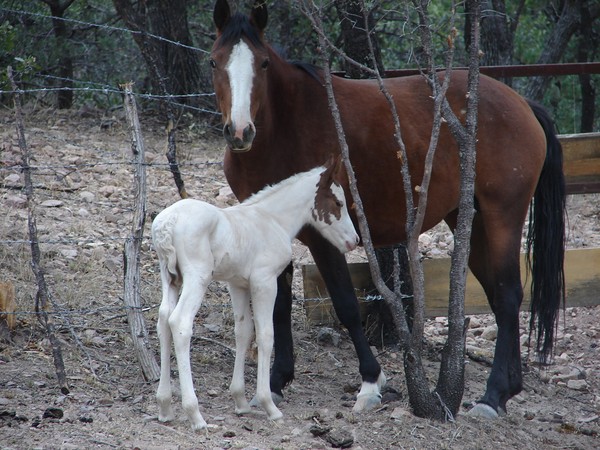 Dulce and Her Mother