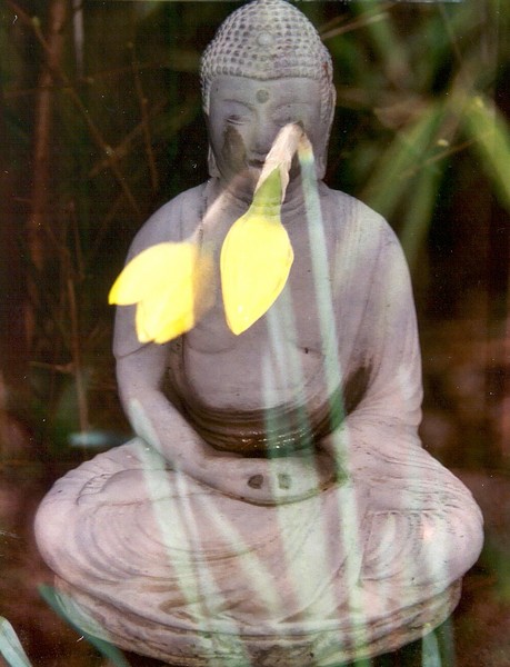 Buddha with Flower