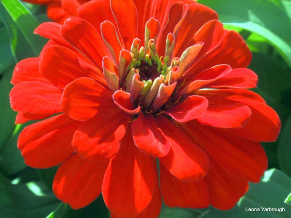 Orange you Glad?