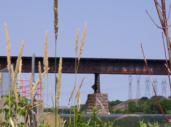Rail Bridge in Caledonia