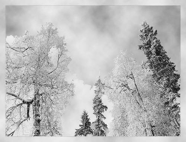 Mystic Nature