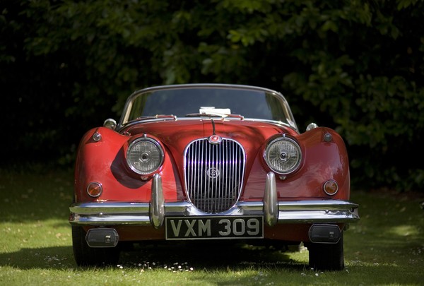 Jaguar