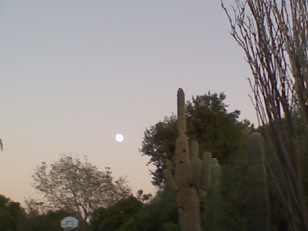 Midsummers Eve