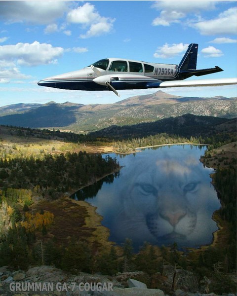 Grumman GA-& Cougar