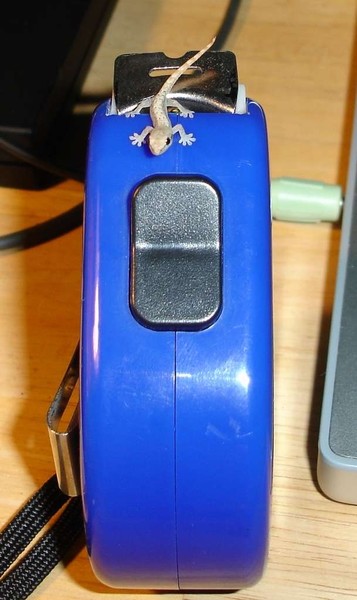 Gecko On Tapemeasure