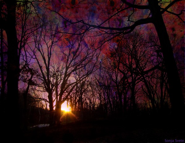 Toward The Dream