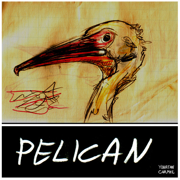 pelican