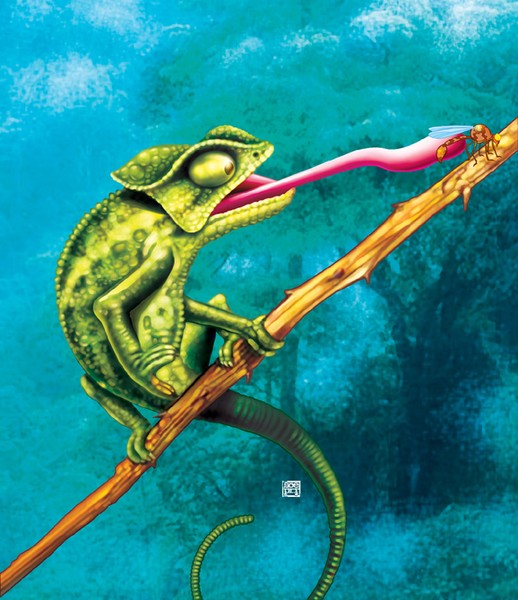 CHAMELEON