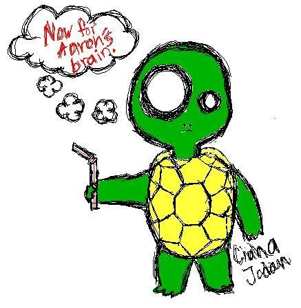 Aaron's Turtle