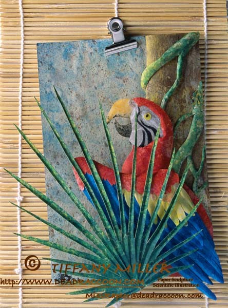 Sue's Parrot